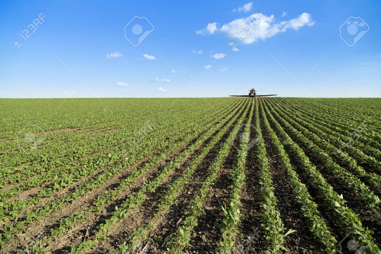 Ramírez Cuéllar señala serias carencias presupuestales en agricultura, educación e infraestructura