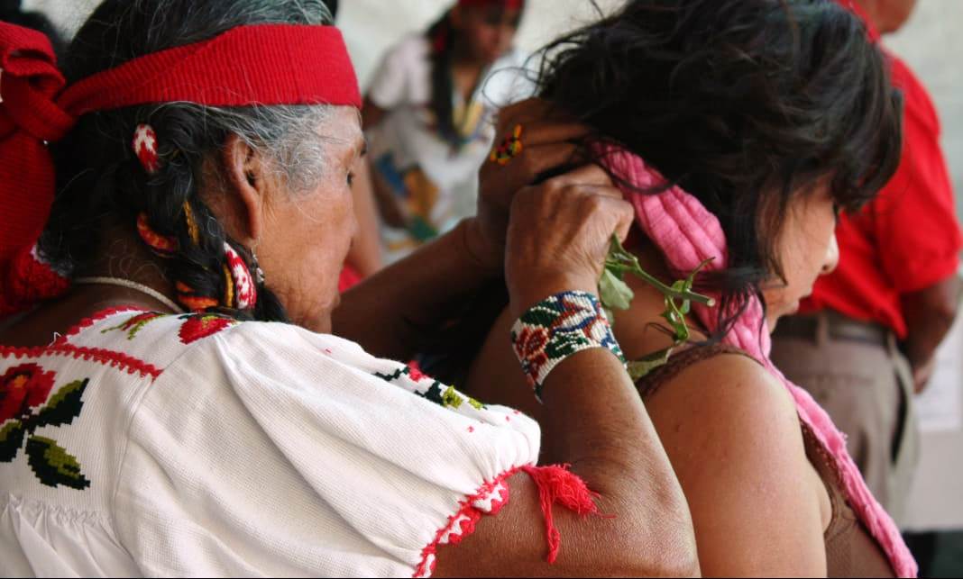 Medicos tradicionales y artesanos listos para festival de herbolaria en Xochimilco
