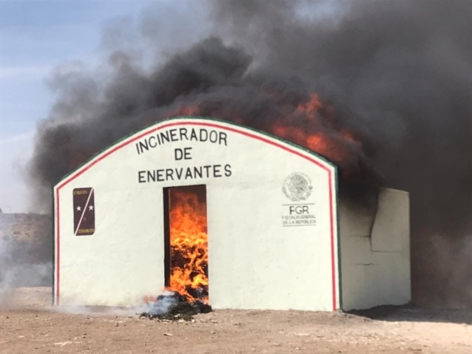 FGR incinera 5 toneladas de droga en Zacatecas
