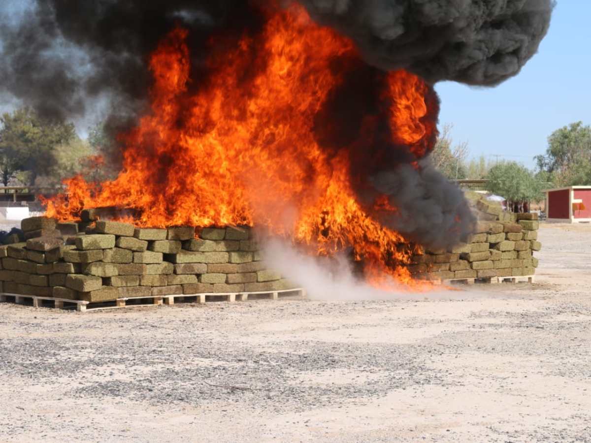 Incinera FGR seis toneladas de droga en Torreón