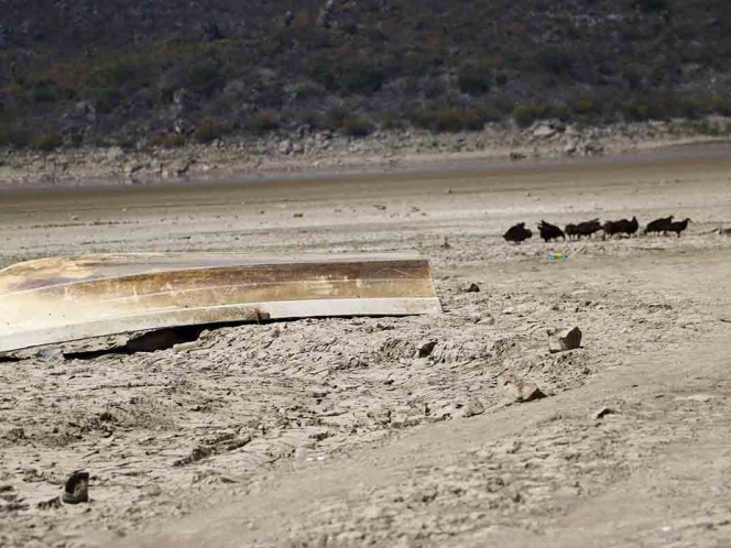 Se agudiza sequía en Hidalgo; 68 de 84 municipios afectados
