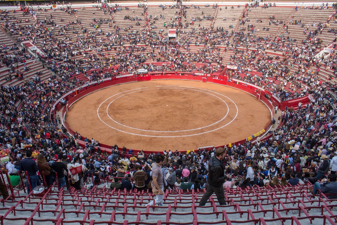 Se perderían 30 mil empleos si desaparecen las corridas de toros en la ciudad